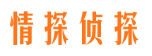 巴青市私家侦探